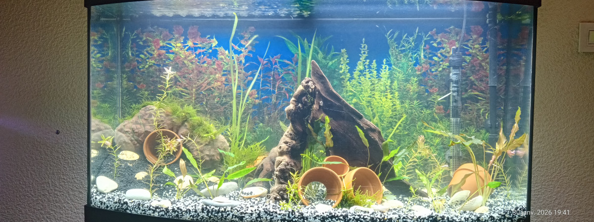 aquarium Vision 180