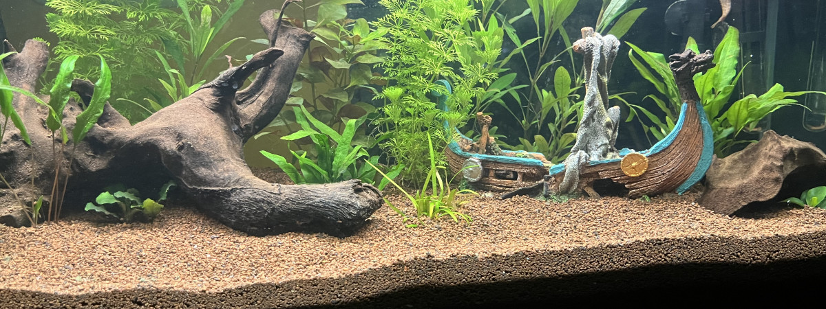 aquarium Aqua viking