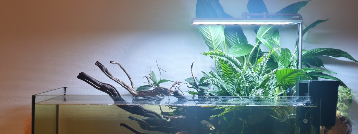 aquarium Shallow 120L