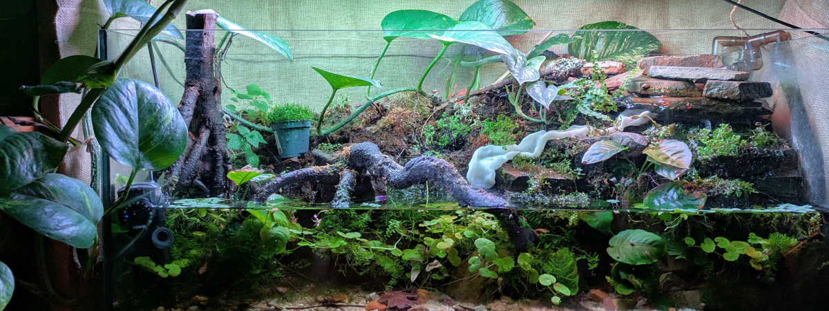 aquarium Paludarium
