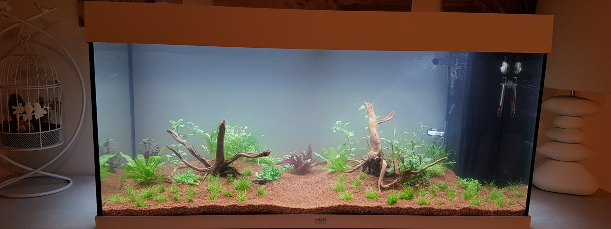 aquarium Rio led 180