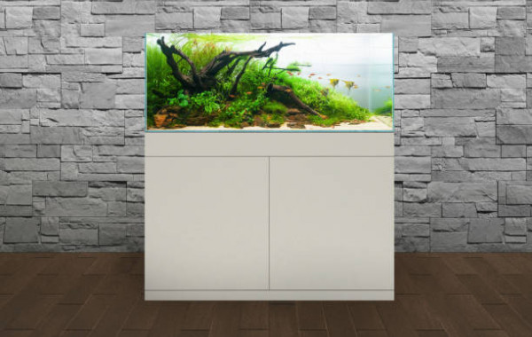 Achat en ligne Aquariums