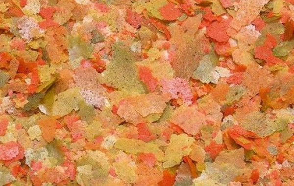 Paillettes Tropical Flakes nourriture pour poisson aquarium