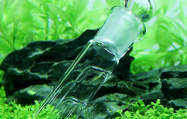 Sol de graines de plantes d'aquarium, support d'aquarium, navigateur de  sable, boue pour poissons, soins des plantes précieuses, accessoires