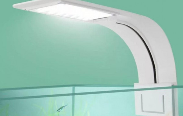 Acheter un éclairage pour aquarium - Achat en ligne - Aquariophilie &  Aquascaping - Aquarium & Bassin