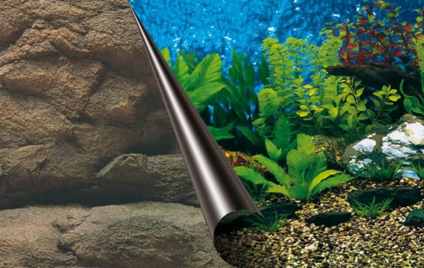 Darts Plunderen Gestreept Acheter de la décoration pour aquarium - Achat en ligne - Aquariophilie &  Aquascaping - Aquarium & Bassin