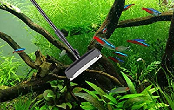 Aquascape collé en pierre ancienne pour nano aquarium -  France