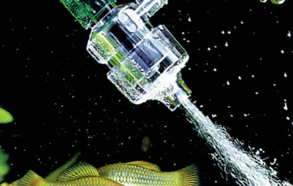 Choisir une pompe à air (ou bulleur) pour mon aquarium – Fermes et