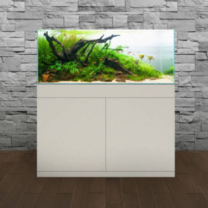 Acheter aquariums pas cher