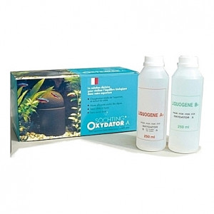 Système d’oxygénation SOCHTING OXYDATOR A - 9x18cm (aquarium <400L)