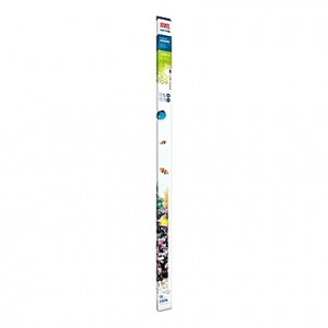 Tube néon T5 JUWEL HIGH LITE MARINE 54W - 1200mm