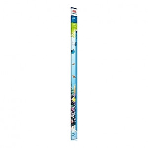 Tube néon T5 JUWEL HIGH LITE BLUE 54W - 1200mm