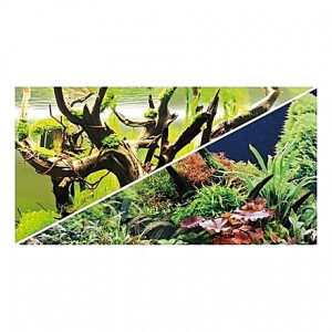 Poster HOBBY Green Secret / Wood Island 100x50cm