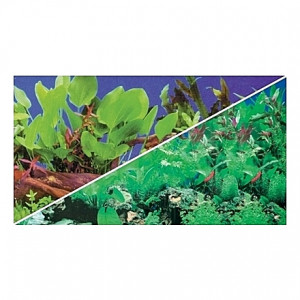 Poster HOBBY Plantes 1/5 120x50cm DF HOBBY