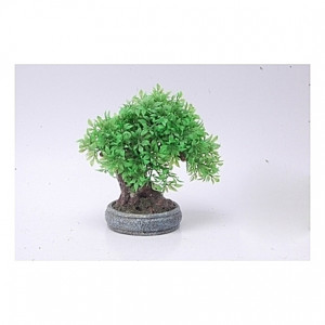 Arbre bonsaï - 17x10x16cm