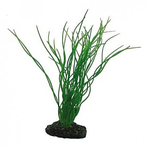 Plante artificielle Sagittaria 20cm