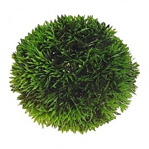 Boule plante 9cm