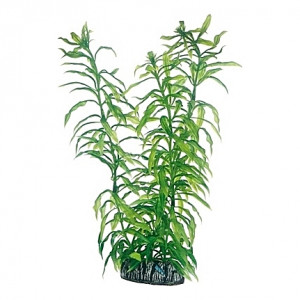 Plante artificielle Heteranthera 25cm