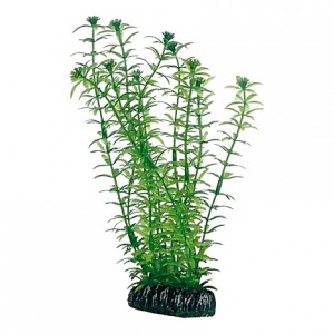 Plante artificielle Lagarosiphon 20cm
