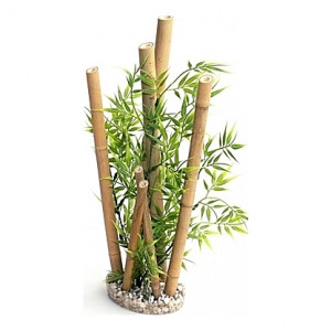 Bamboo Taille XL 38cm