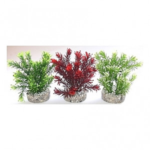 Plantes Jungle 15cm