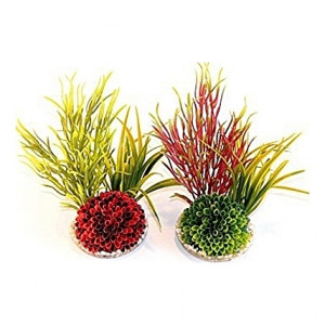 Îlots de plantes 20cm