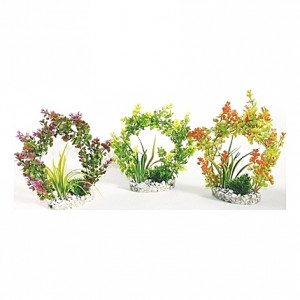 Plantes arches 22cm