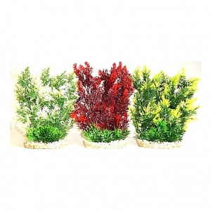 Îlots de plantes 24cm