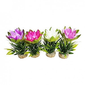 Fleurs de lotus 18cm