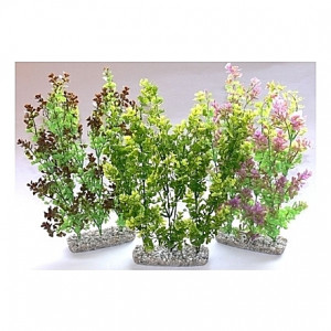 Plantes buissons 35cm