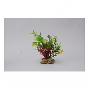 Assortiment de plantes 15cm