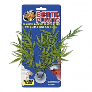 Plante bamboo sur ventouse