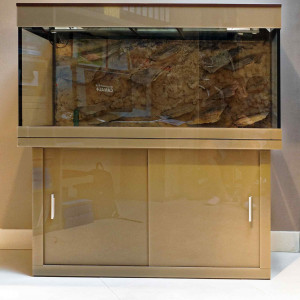 Aquarium haut de gamme deco glass sur mesure de 450 litres