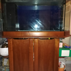 Vends aquarium 360 litres- encastrement merisier