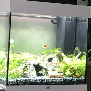 Aquarium 120L