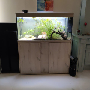 Aquarium 220l complet équipements + poissons