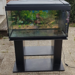 Aquarium 240L équipé + meuble