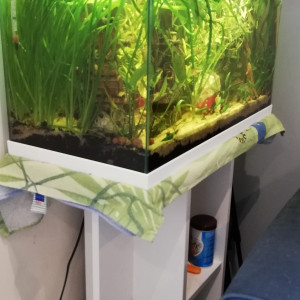 Aquarium complet 60 litres