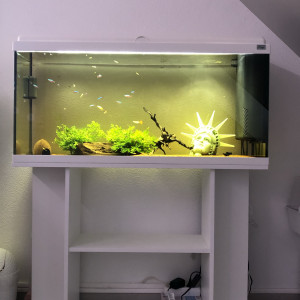aquarium complet