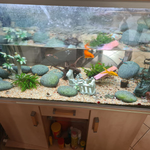 Aquarium RENA 360L