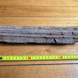 Pierres issues de bois pétrifiés et fossilisés