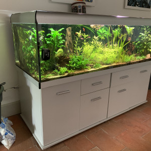 Aquarium