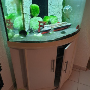 Aquarium 190L + Meuble