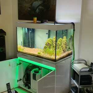 Aquarium premium complet