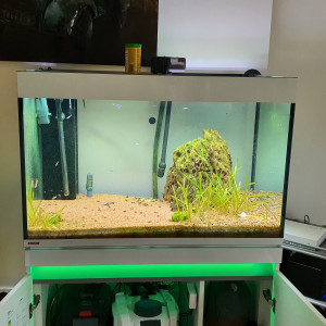 Aquarium premium complet