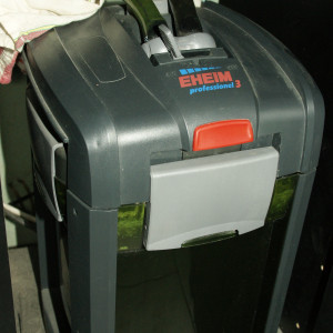 Aquarium 240l + poissons + plante