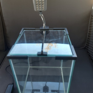 Nano aquarium 10 L