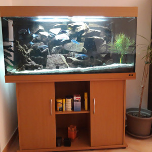 Aquarium complet