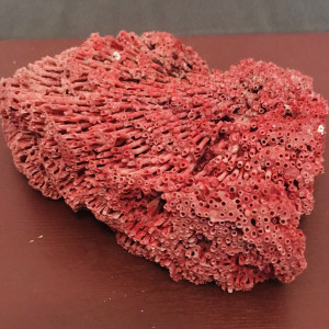 Magnifique bloc de corail rouge