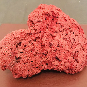 Magnifique bloc de corail rouge pour aquarium d'eau de mer